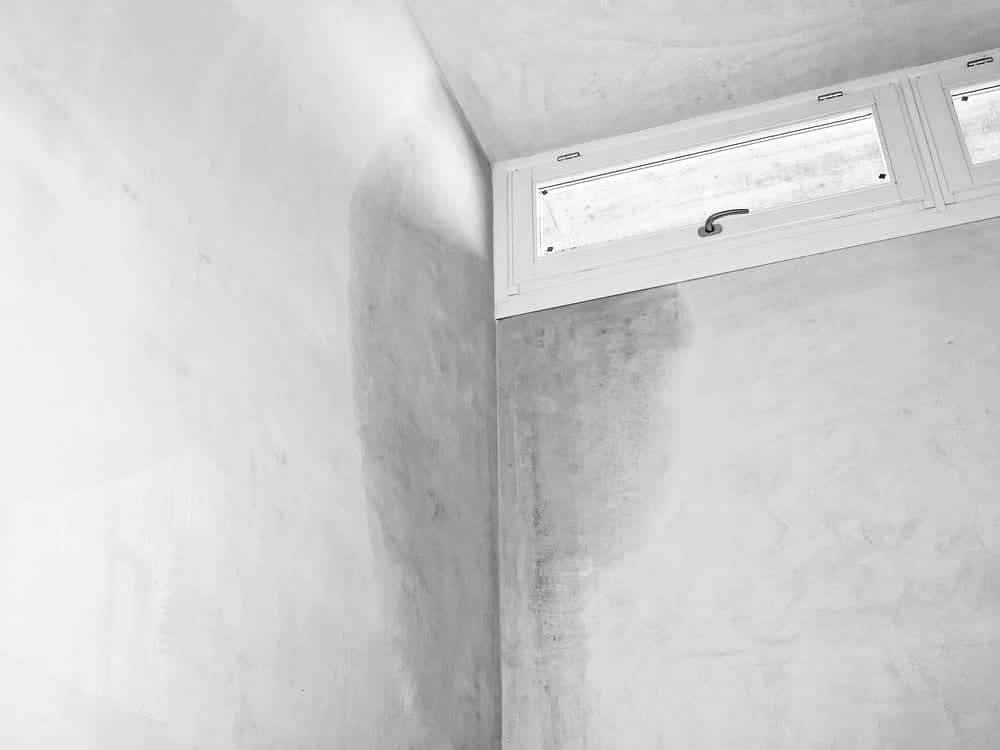 The Most Common Moisture Problems That Can Lead To Black Mold