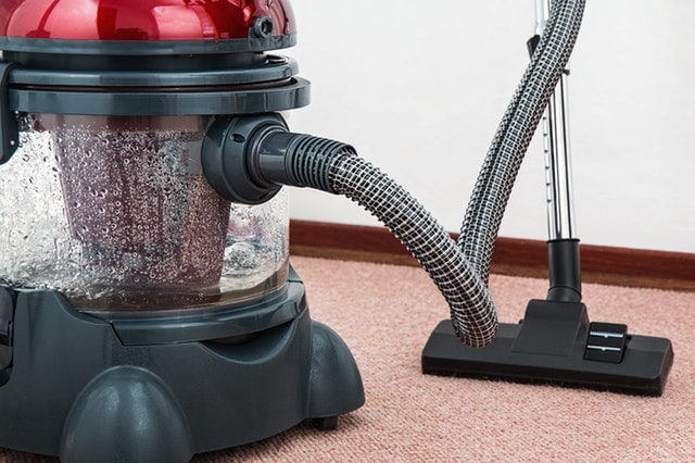 What is Carpet Mold and How can You Prevent It?